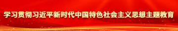 亚洲肏逼学习贯彻习近平新时代中国特色社会主义思想主题教育